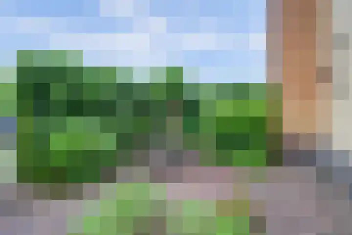De Ontdekking 24 Amersfoort thumbnail 7