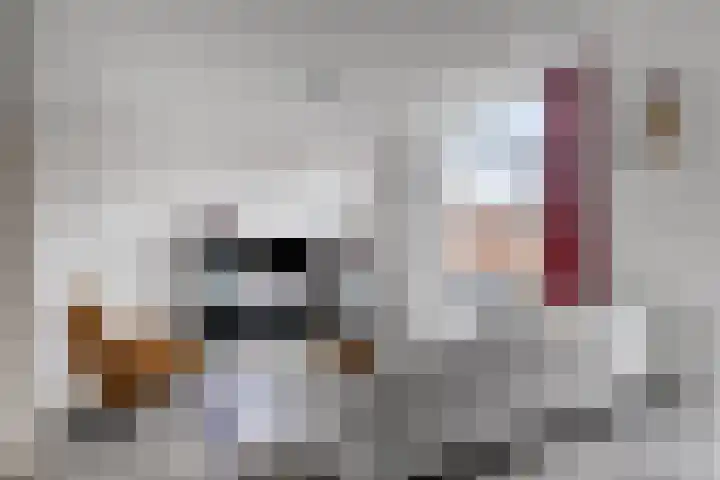 De Ontdekking 3 B Amersfoort thumbnail 10