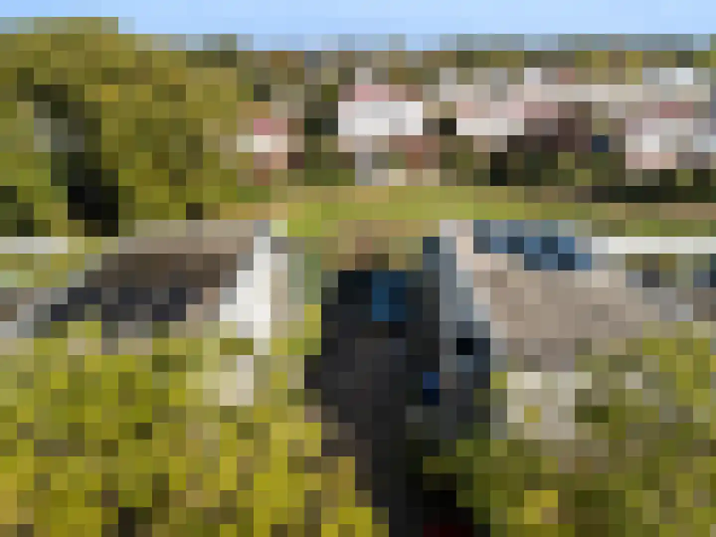 De Ontmoeting 14 Amersfoort thumbnail 27