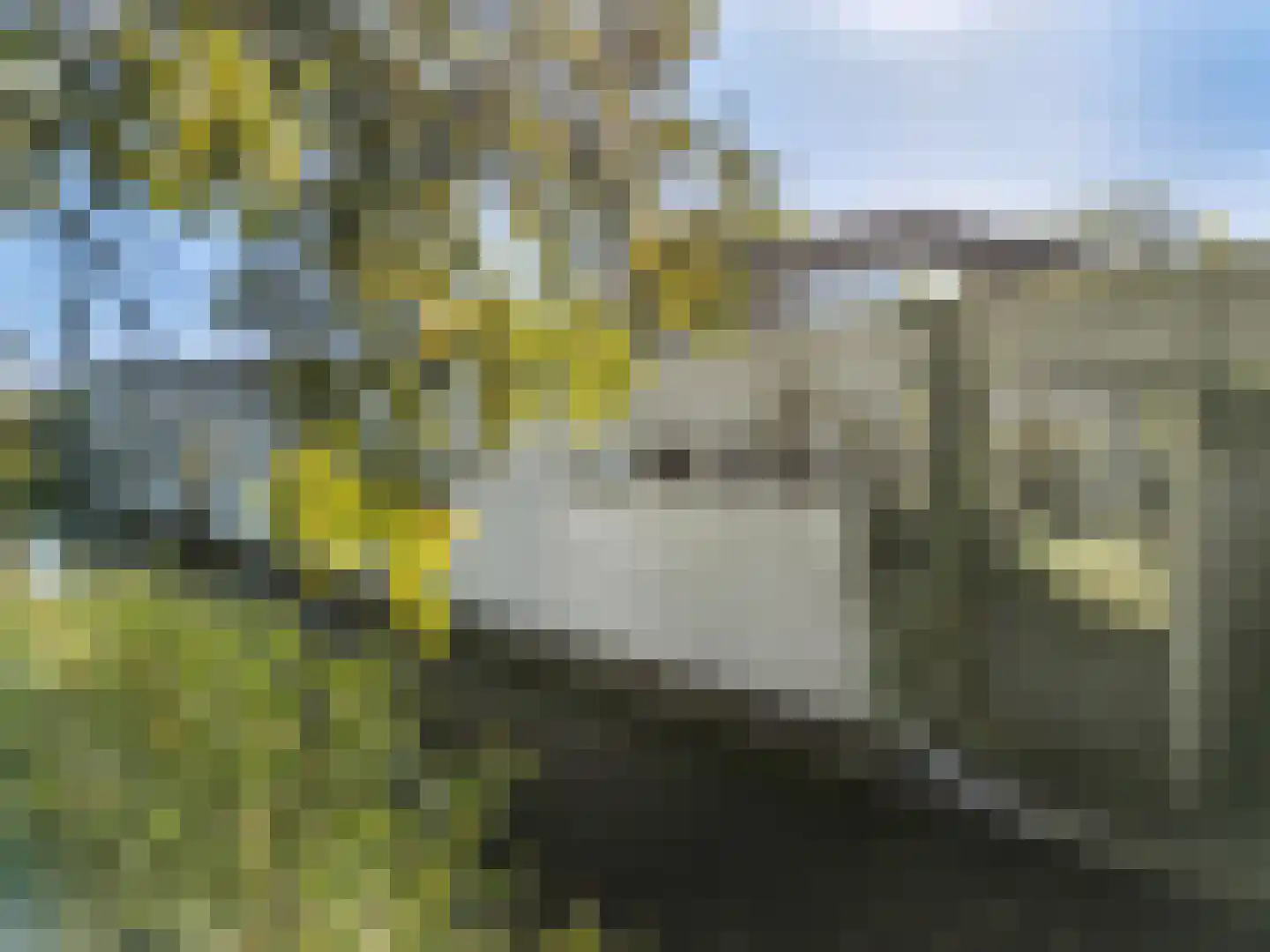 De Ontmoeting 14 Amersfoort thumbnail 29