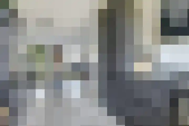 De Ontmoeting 14 Dronten thumbnail 12