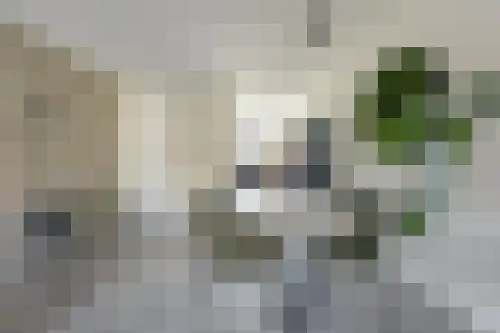 De Ontmoeting 14 Dronten thumbnail 13