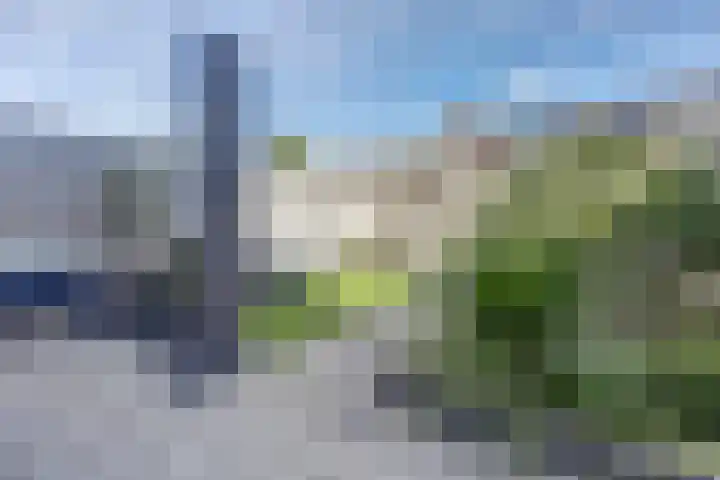 De Ontmoeting 14 Dronten thumbnail 29