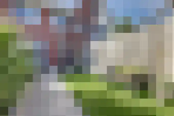 De Ontmoeting 14 Dronten thumbnail 30