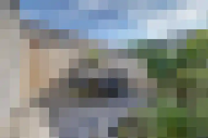 De Ontmoeting 14 Dronten thumbnail 31