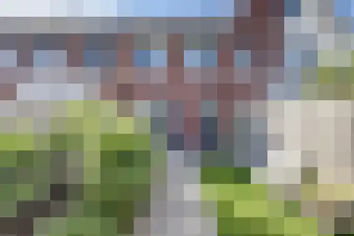De Ontmoeting 14 Dronten thumbnail 32