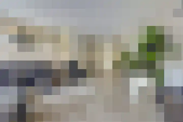 De Ontmoeting 14 Dronten thumbnail 7