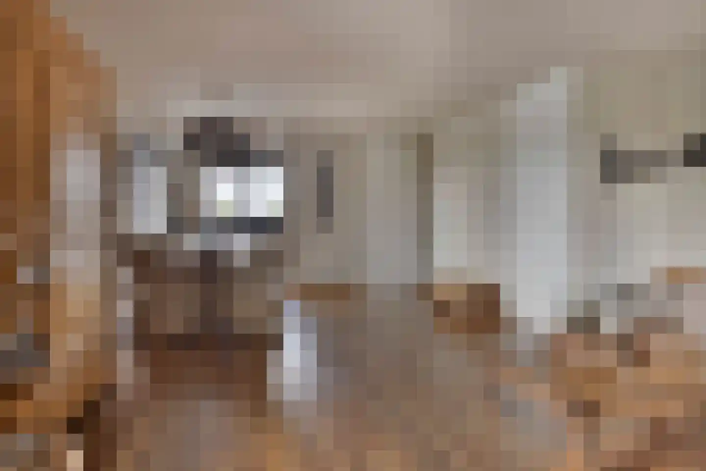 De Ontmoeting 2 Dronten thumbnail 10