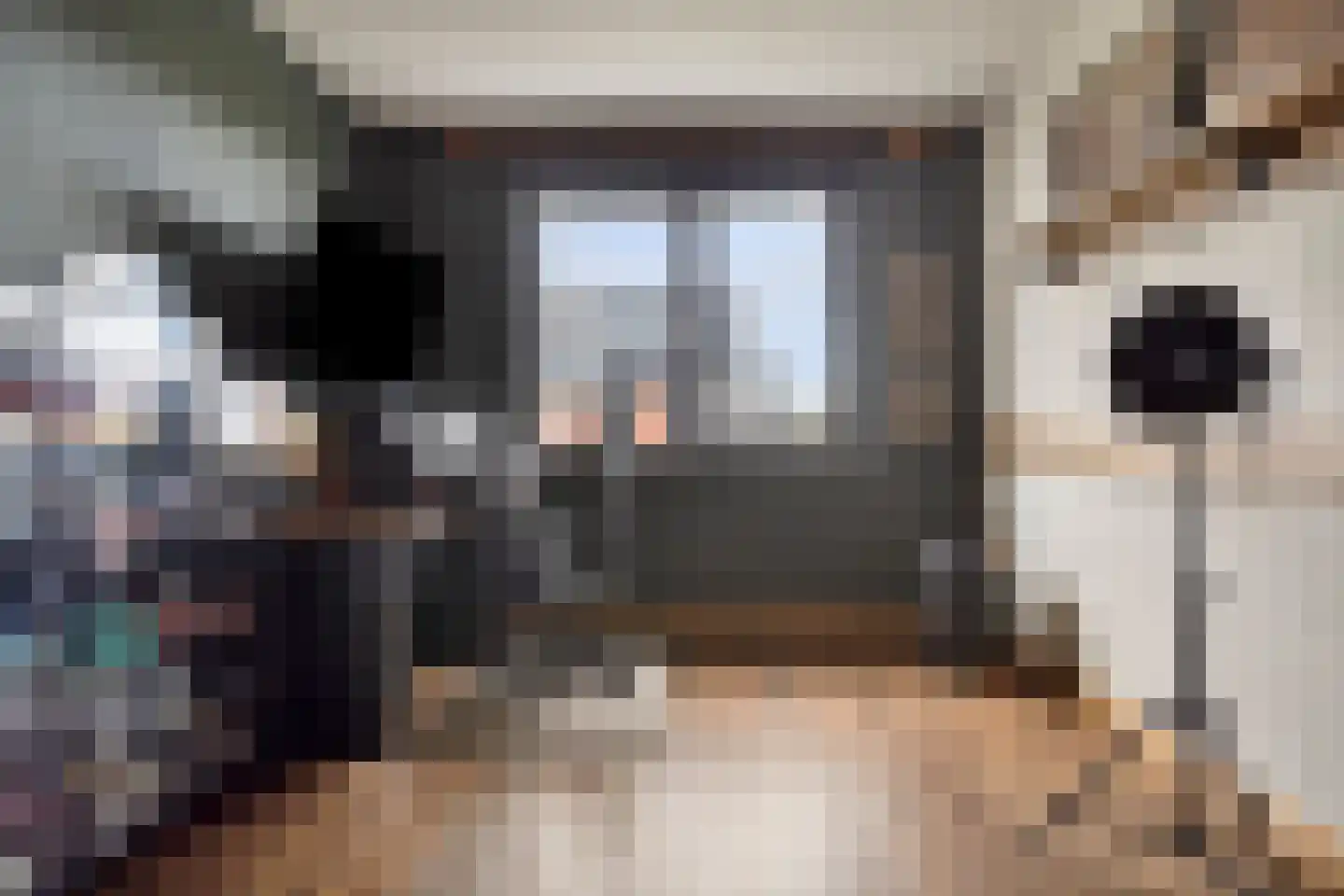 De Ontmoeting 2 Dronten thumbnail 14