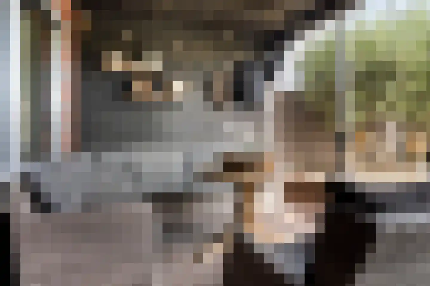 De Ontmoeting 2 Dronten thumbnail 28