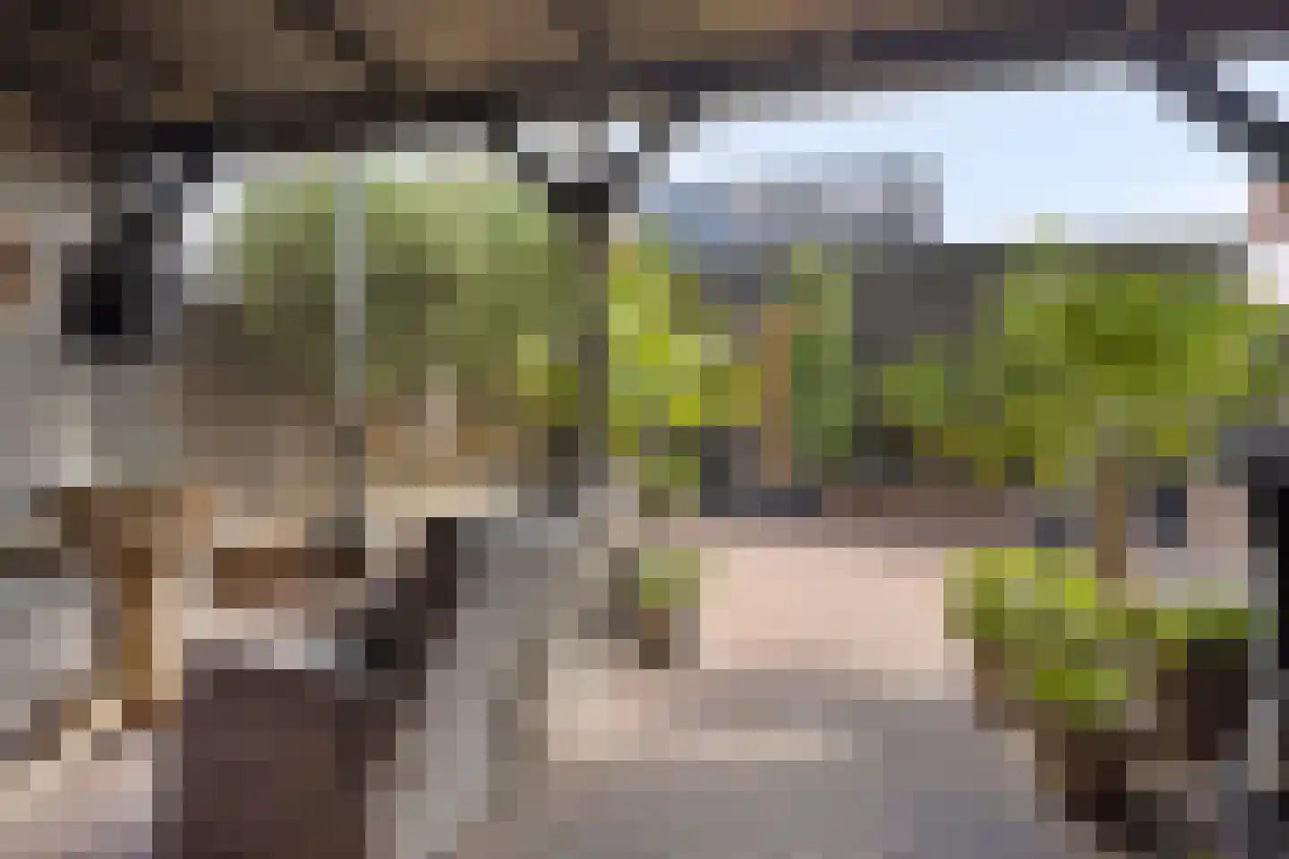 De Ontmoeting 2 Dronten thumbnail 29