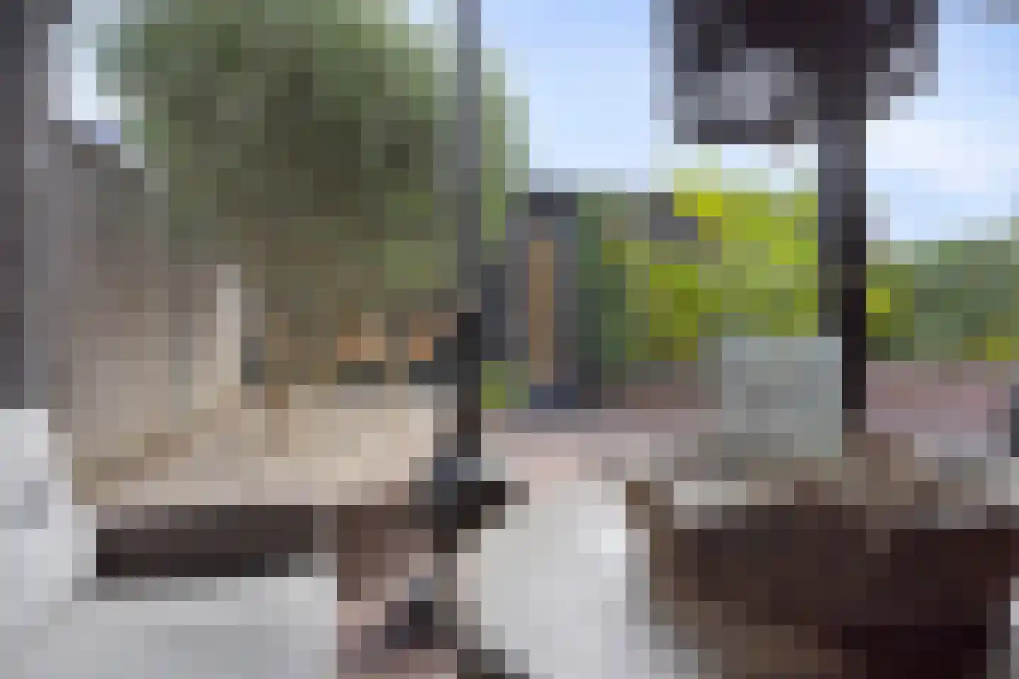 De Ontmoeting 2 Dronten thumbnail 30