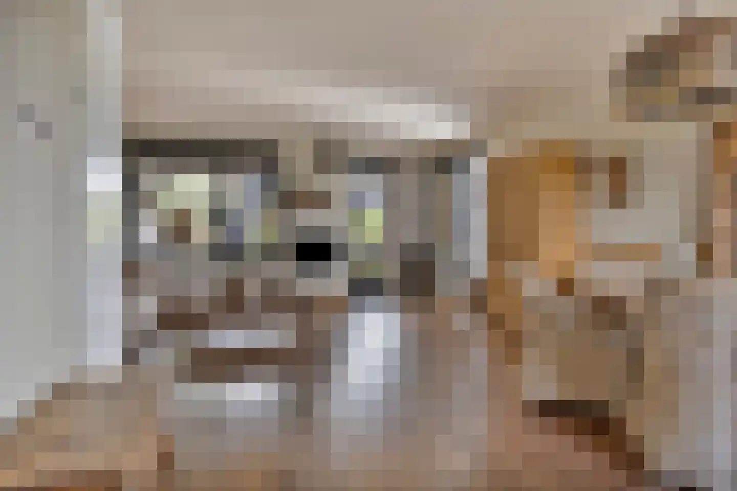 De Ontmoeting 2 Dronten thumbnail 8