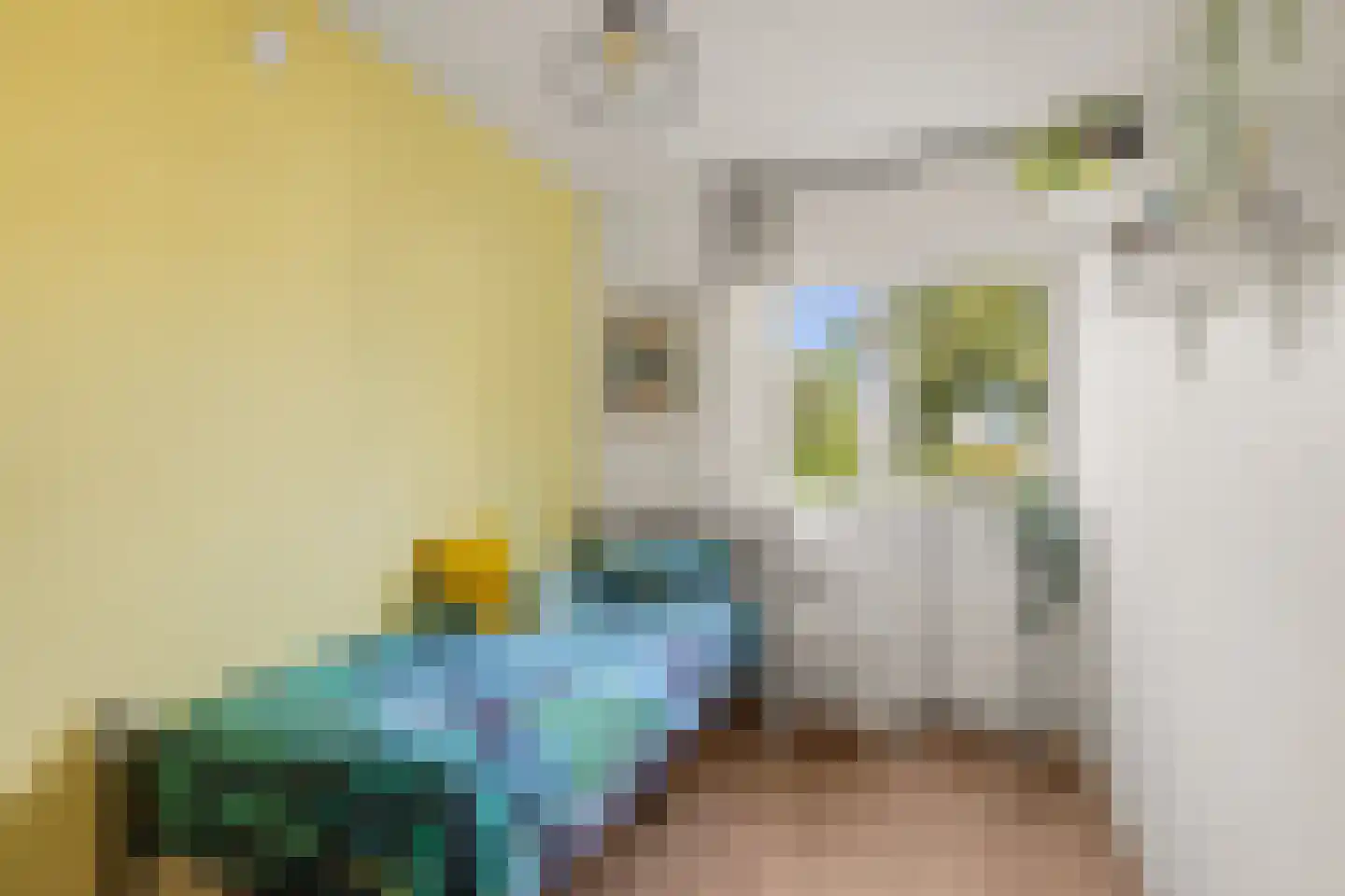 De Ontmoeting 24 Amersfoort thumbnail 29