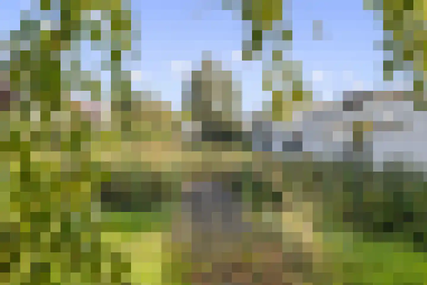 De Ontmoeting 24 Amersfoort thumbnail 47