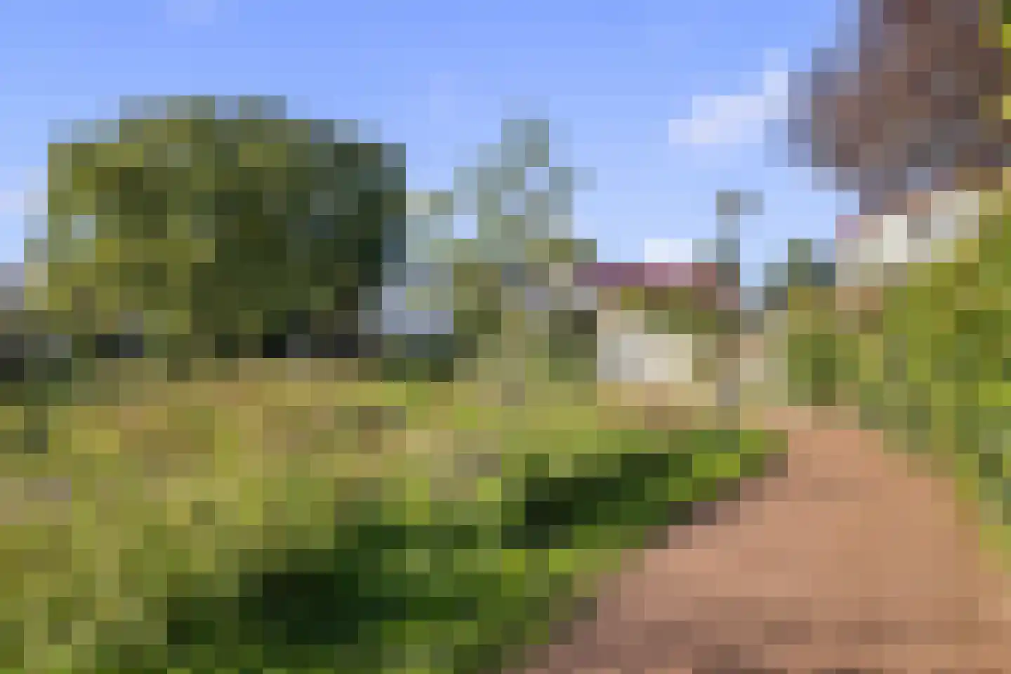 De Ontmoeting 24 Amersfoort thumbnail 48