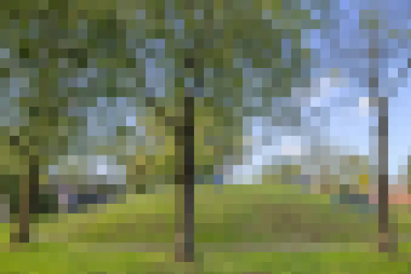De Ontmoeting 24 Amersfoort thumbnail 52