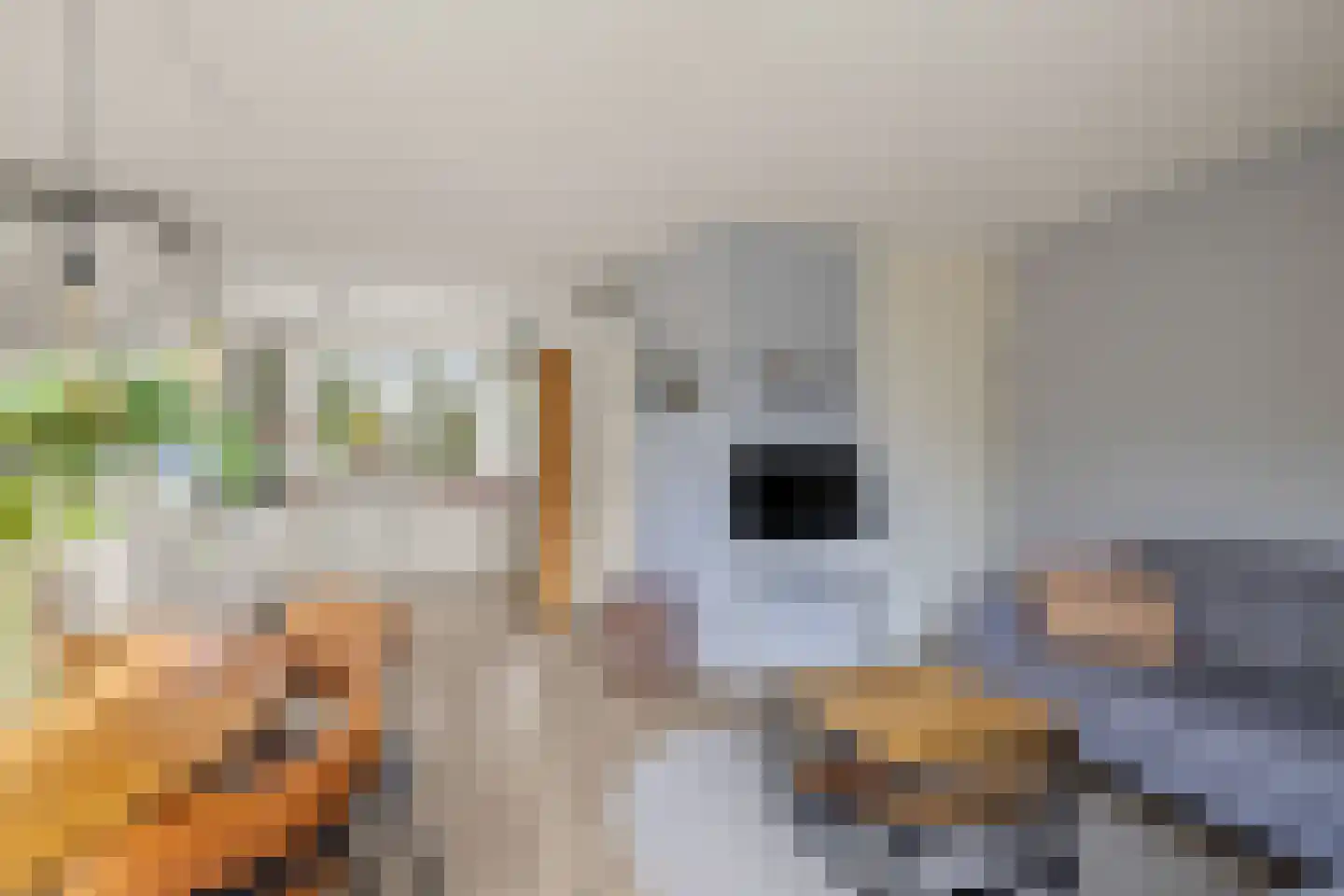 De Ontmoeting 24 Amersfoort thumbnail 9