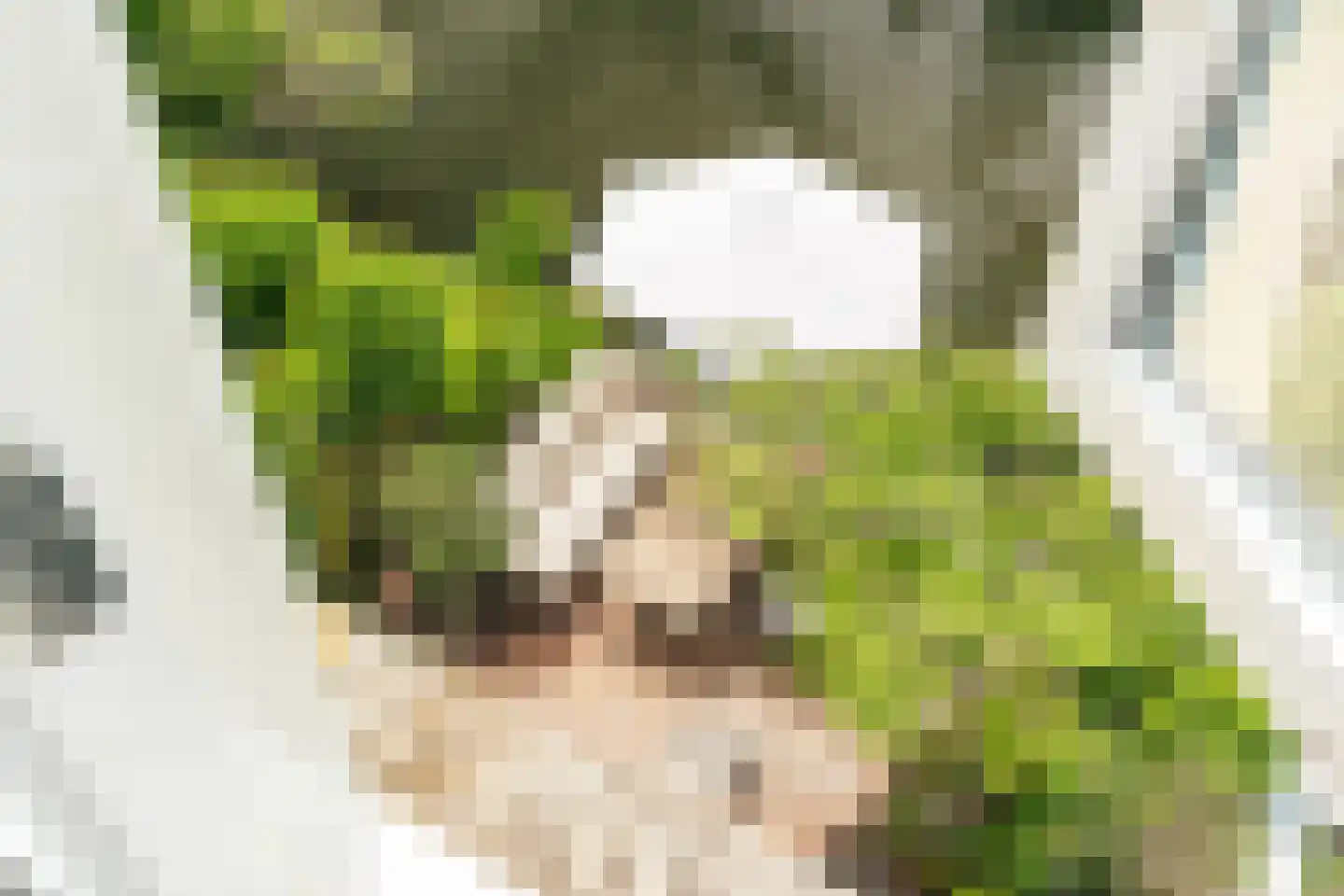 De Ontmoeting 25 Amersfoort thumbnail 34