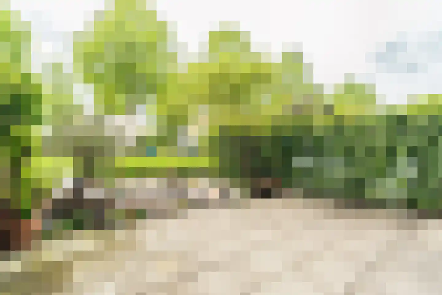 De Ontmoeting 25 Amersfoort thumbnail 36