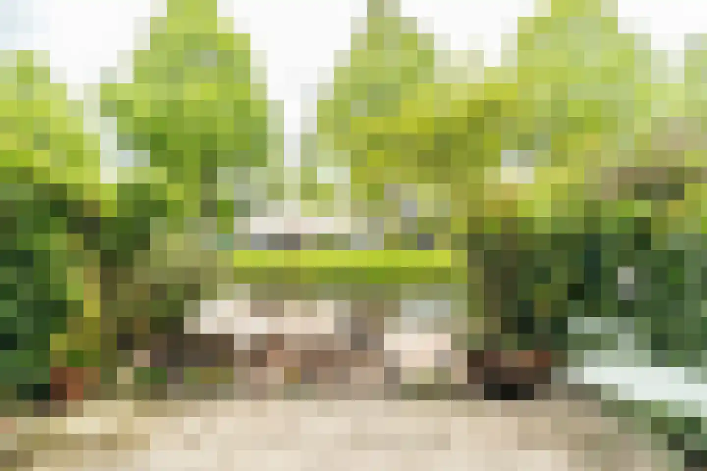 De Ontmoeting 25 Amersfoort thumbnail 38