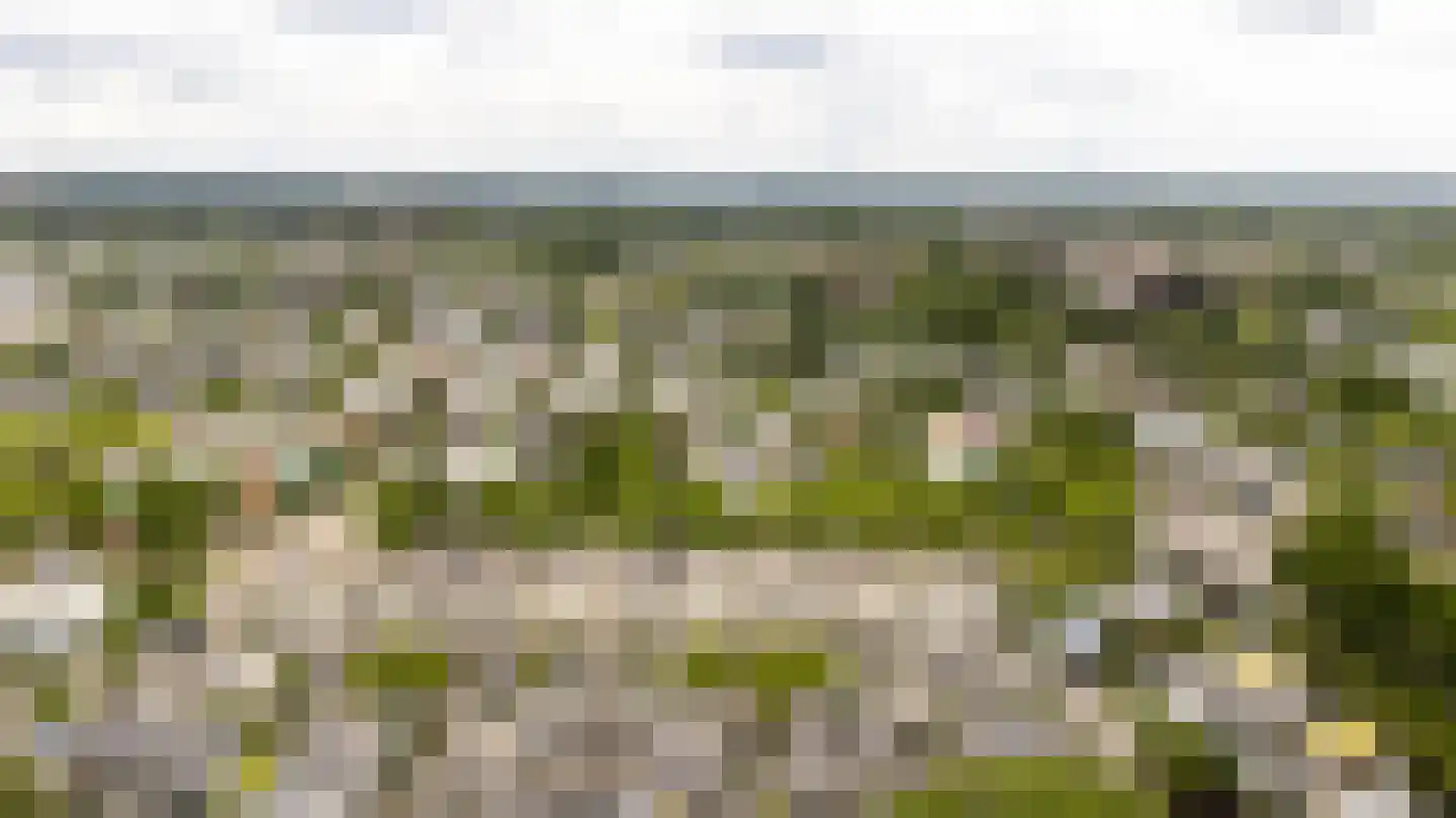 De Ontmoeting 25 Amersfoort thumbnail 44