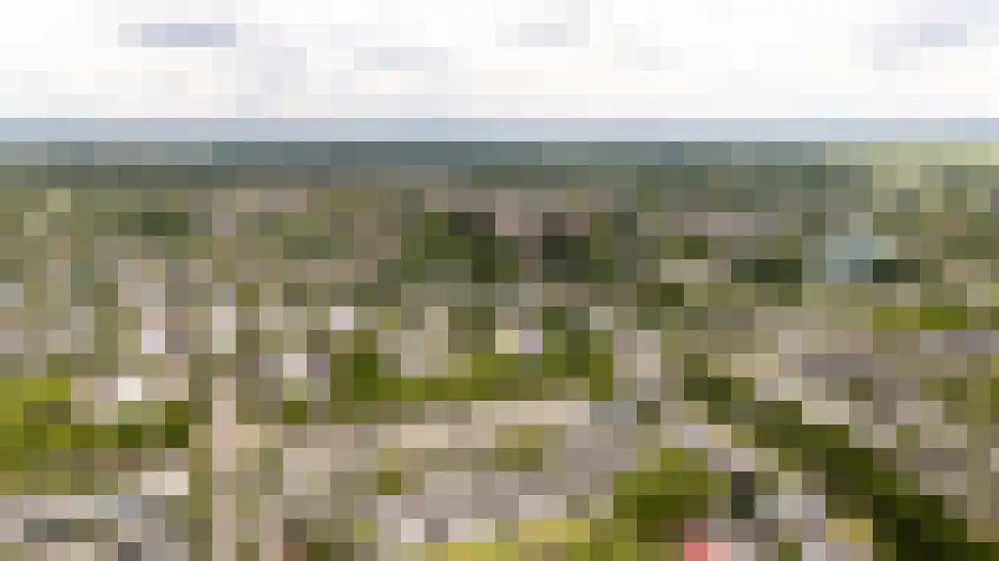 De Ontmoeting 25 Amersfoort thumbnail 46