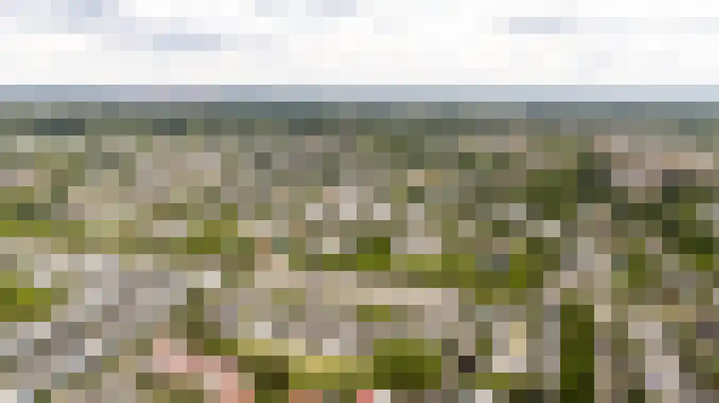 De Ontmoeting 25 Amersfoort thumbnail 47