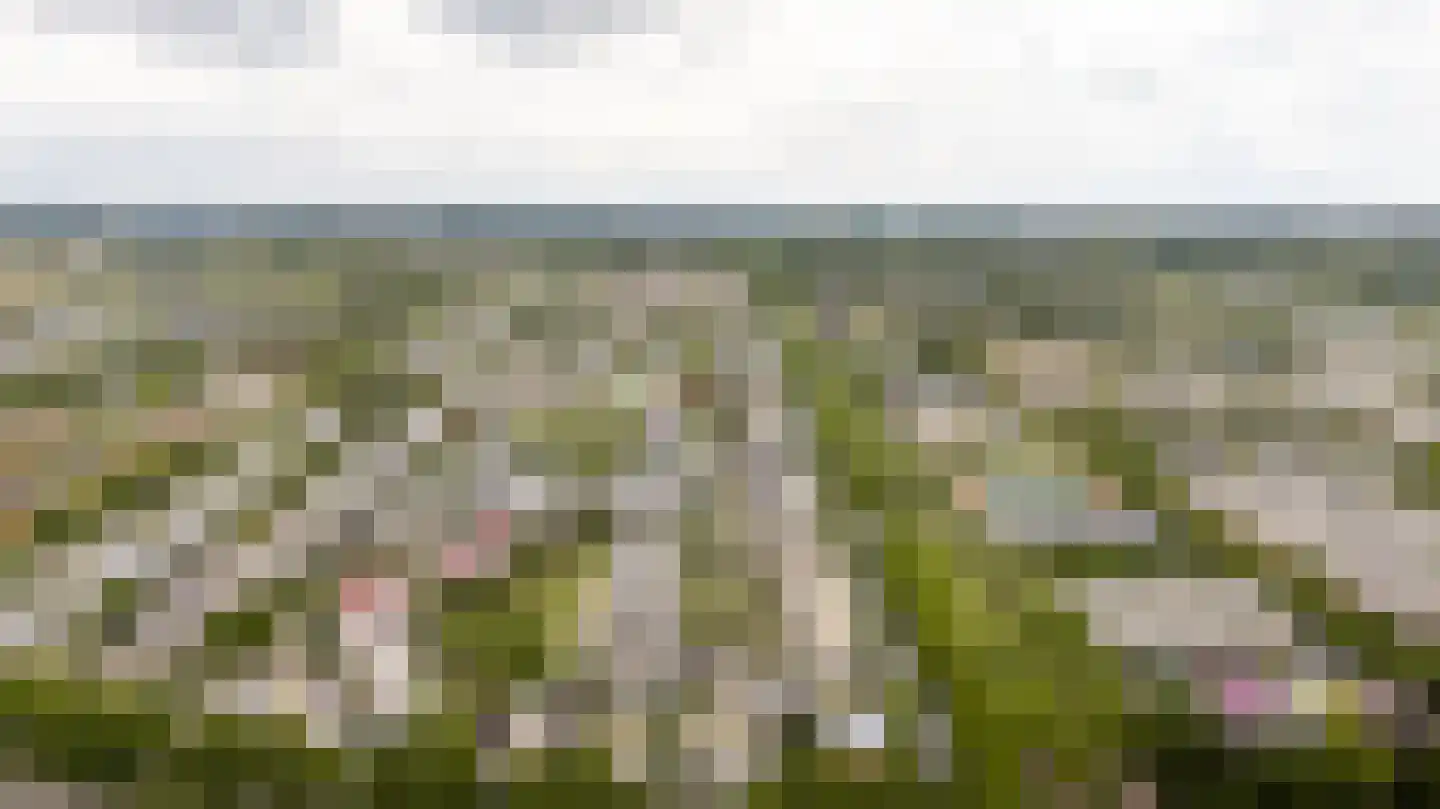 De Ontmoeting 25 Amersfoort thumbnail 48