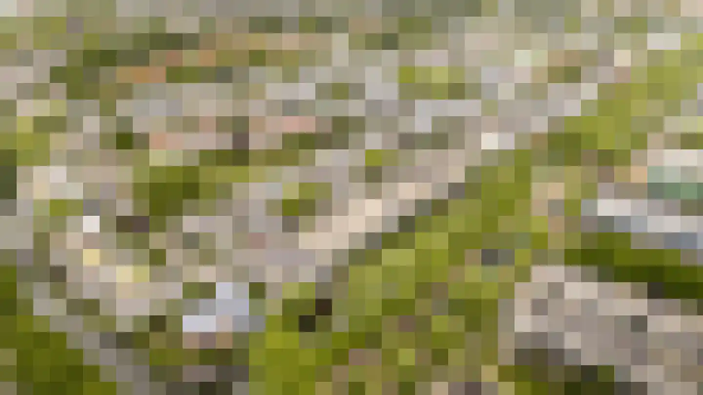 De Ontmoeting 25 Amersfoort thumbnail 49