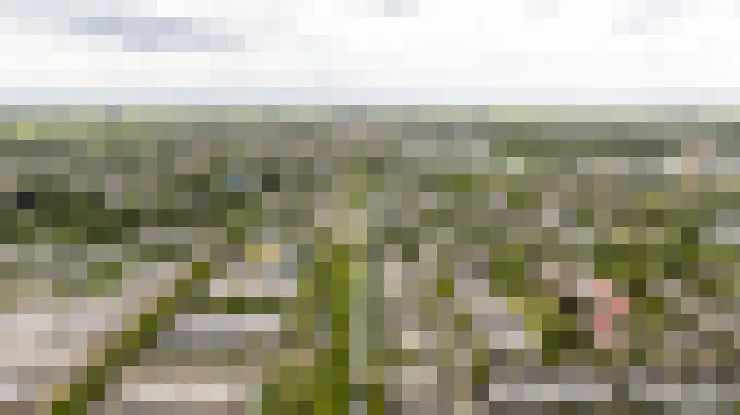 De Ontmoeting 25 Amersfoort thumbnail 52