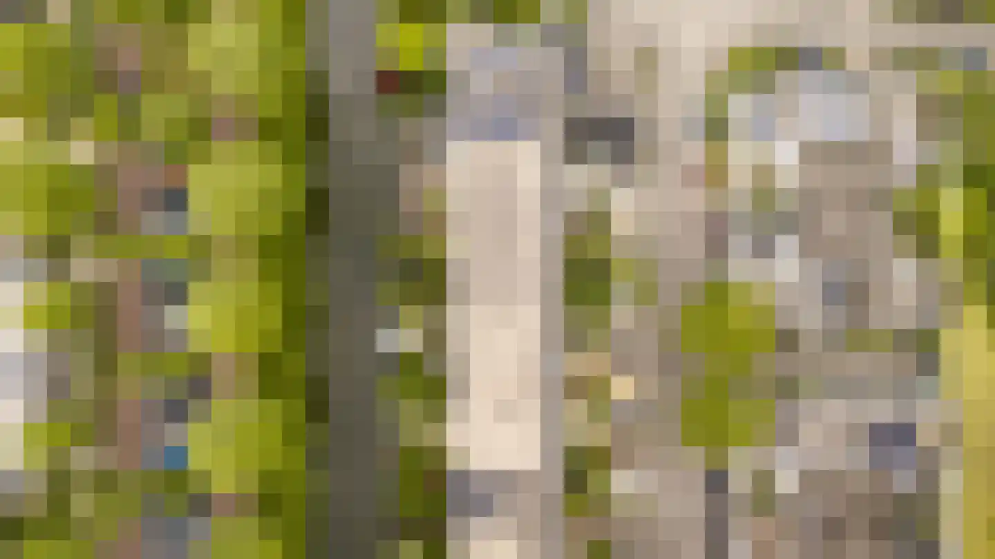 De Ontmoeting 25 Amersfoort thumbnail 53