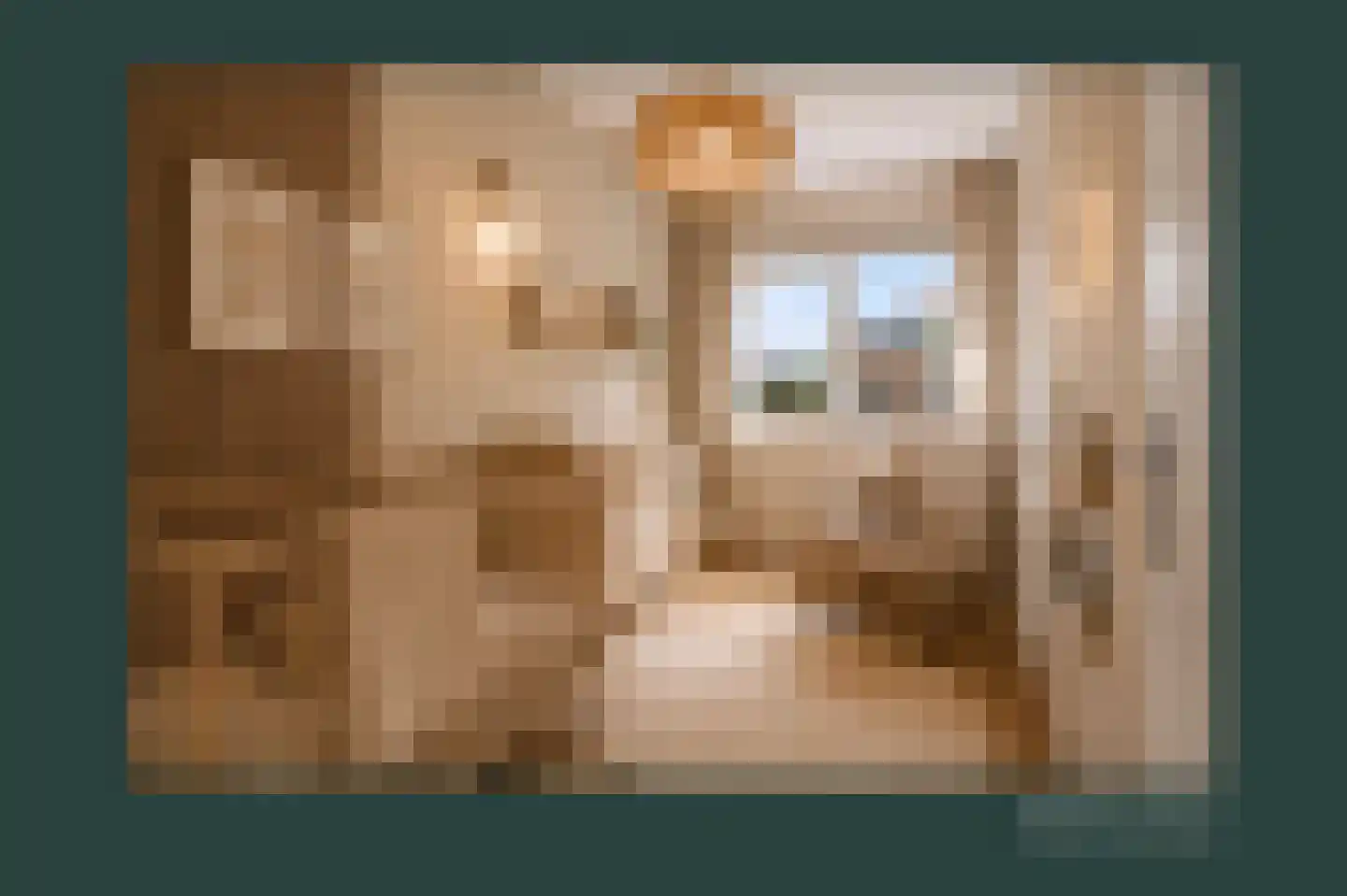 De Ontmoeting 28 Amersfoort thumbnail 21