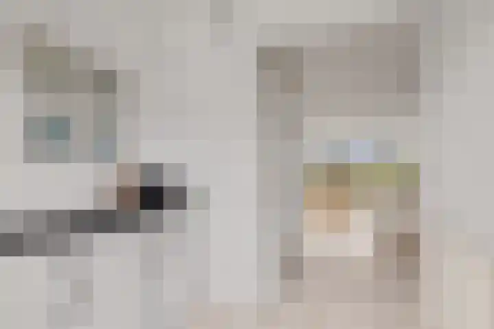 De Ontmoeting 31 Amersfoort thumbnail 12