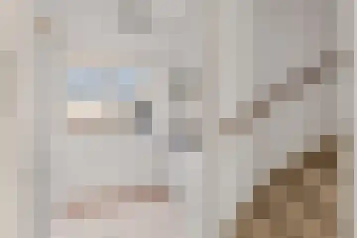 De Ontmoeting 31 Amersfoort thumbnail 13