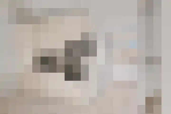 De Ontmoeting 31 Amersfoort thumbnail 15