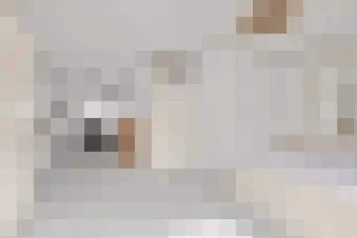 De Ontmoeting 31 Amersfoort thumbnail 32