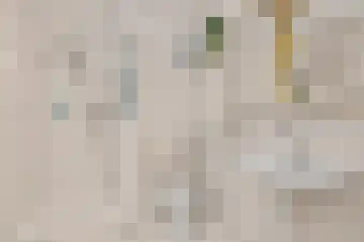 De Ontmoeting 31 Amersfoort thumbnail 37