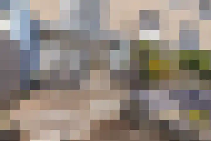 De Ontmoeting 31 Amersfoort thumbnail 46