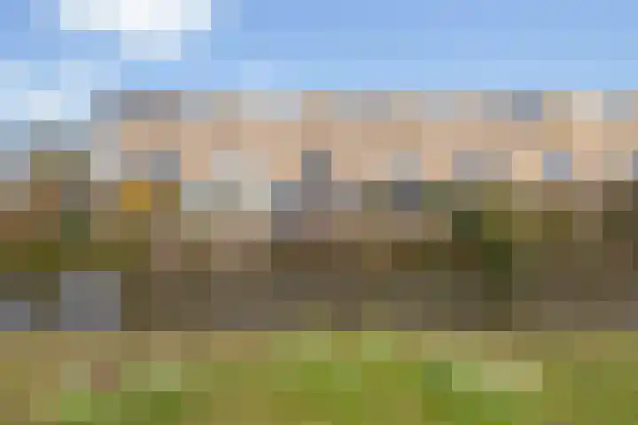 De Ontmoeting 31 Amersfoort thumbnail 51