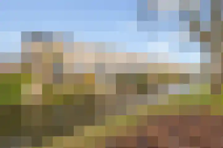 De Ontmoeting 31 Amersfoort thumbnail 53