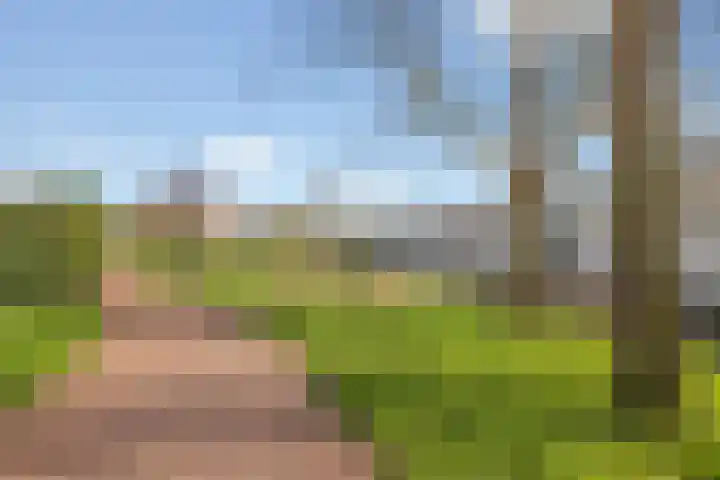 De Ontmoeting 31 Amersfoort thumbnail 54