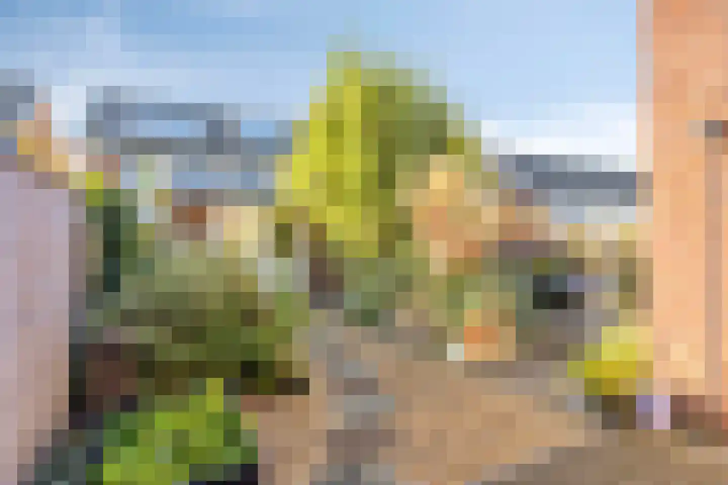 De Ontmoeting 38 Dronten thumbnail 29
