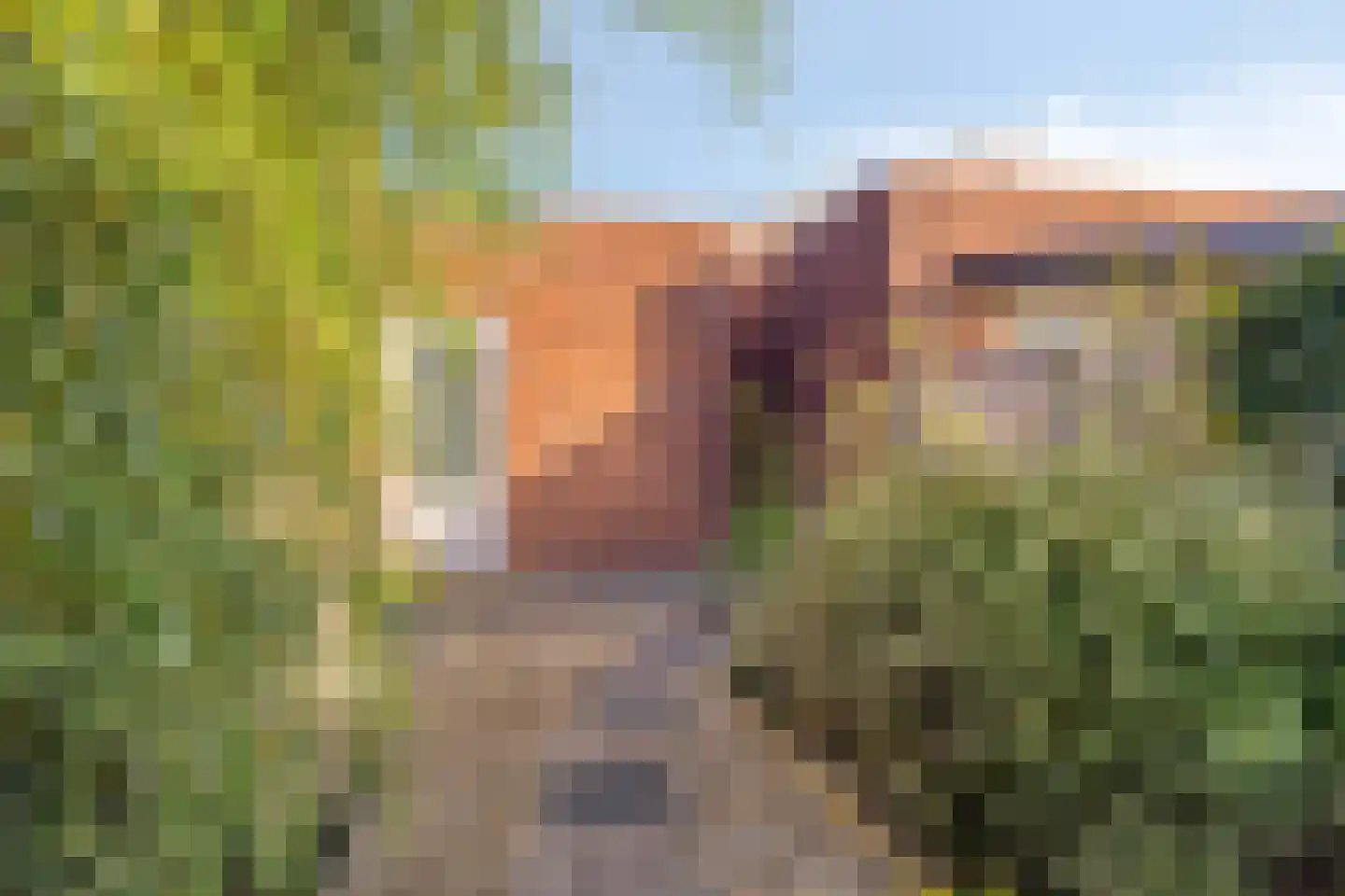 De Ontmoeting 38 Dronten thumbnail 31