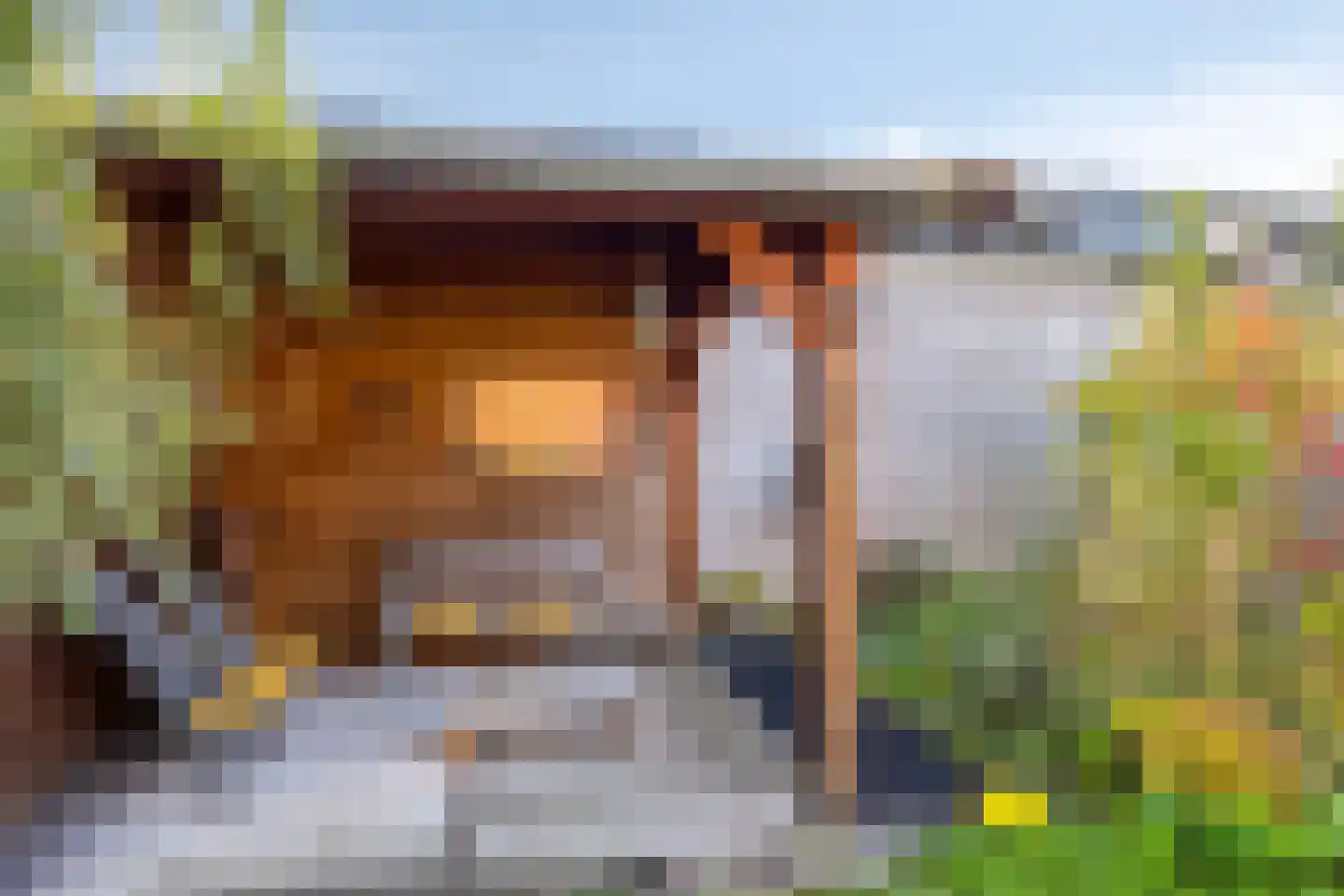 De Ontmoeting 38 Dronten thumbnail 32