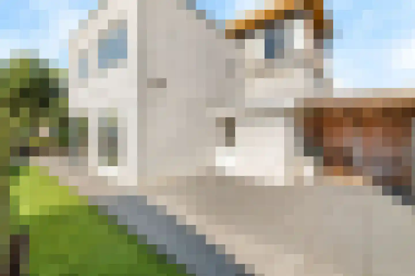 De Ontmoeting 39 Amersfoort thumbnail 35