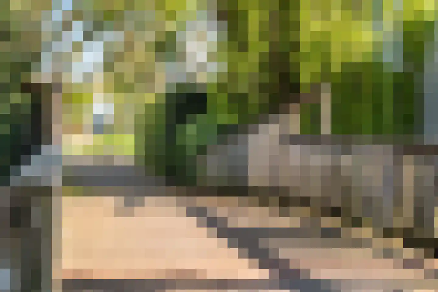 De Ontmoeting 39 Amersfoort thumbnail 42