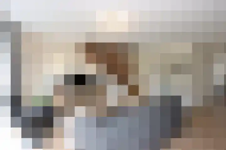 De Ontmoeting 48 Dronten thumbnail 10