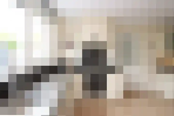 De Ontmoeting 48 Dronten thumbnail 15