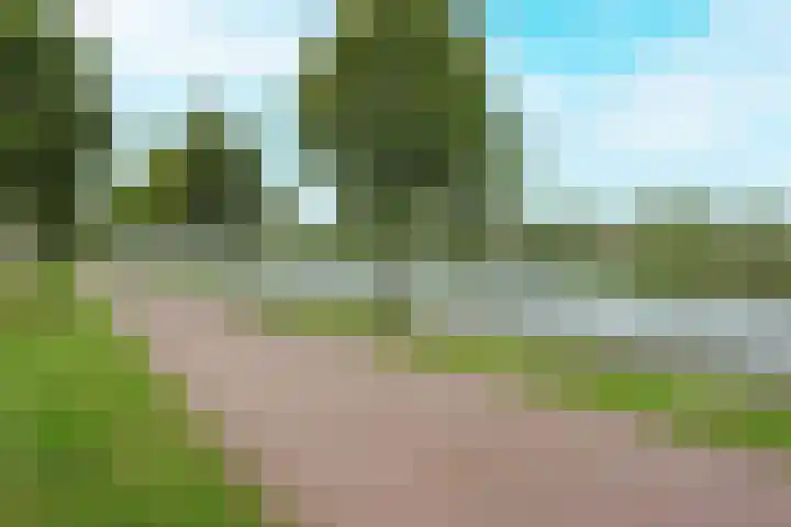 De Ontmoeting 48 Dronten thumbnail 39
